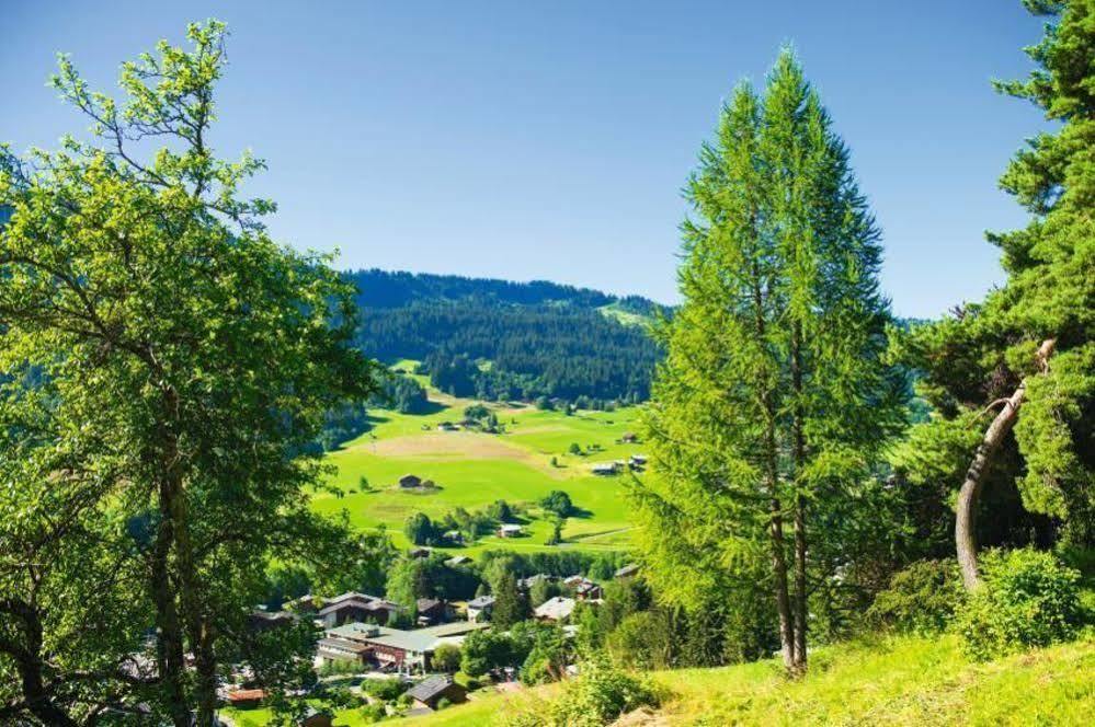 فندق Belambra Clubs Praz-Sur-Arly - L'Alisier المظهر الخارجي الصورة